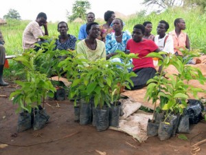 women_with_seedlings