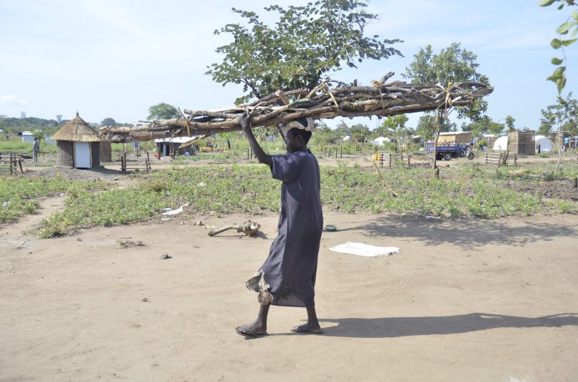 woman carrying firewood
