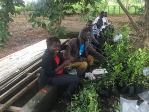 Aid Africa staff and volunteers sit working a row of seedling planting materials